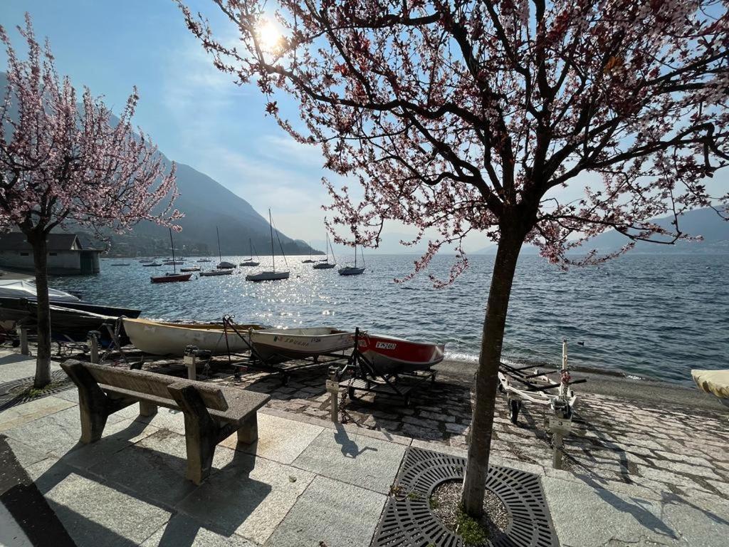 Il Sole Di Calde Lago Maggiore 504 Castelveccana Екстериор снимка